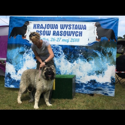 NDS USTKA'18 - BALDUR